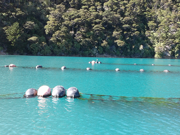 superyacht in marlborough sounds